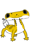 TheGeck