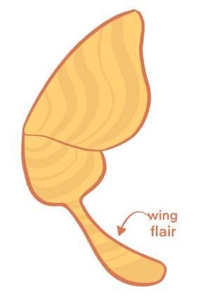 Bun Wing flair
