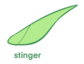 Bun Stinger