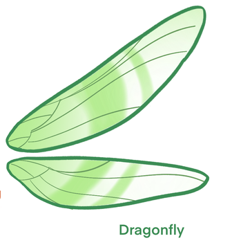 Bun Dragonfly Wings