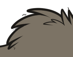 Woolly Coat